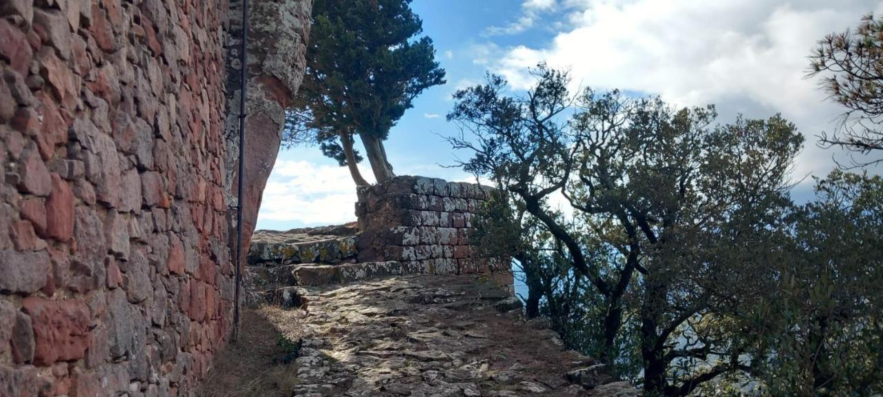 Vila La Casita De Jimena Riudecanyes Exteriér fotografie